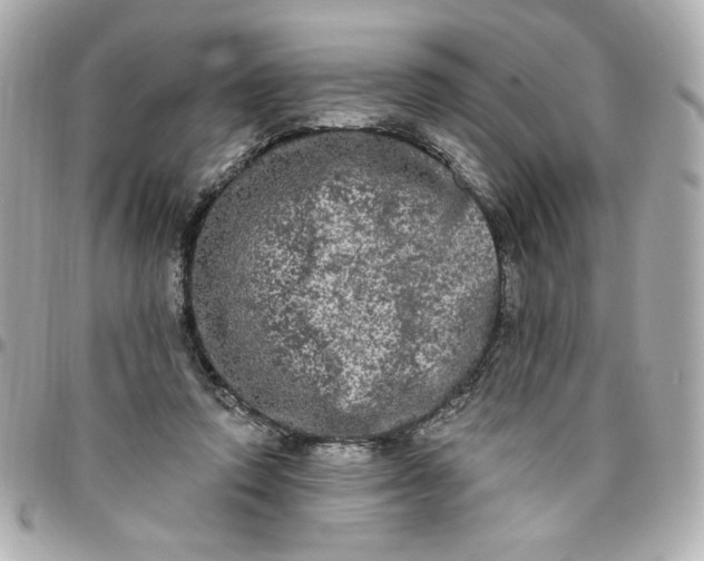 X0000096490354200802071947