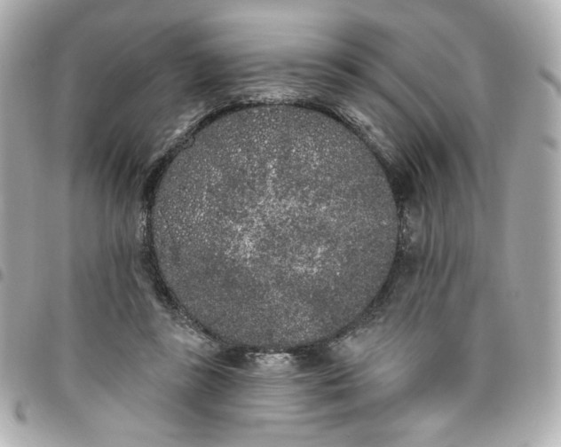 X0000096490355200802071947