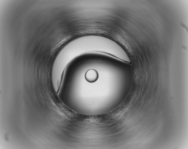 X0000096490356200802071948