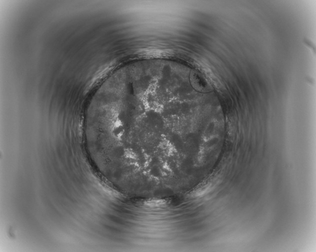 X0000096490357200802071948