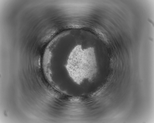 X0000096490358200802071948