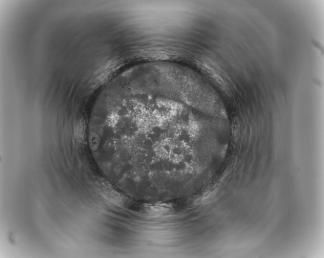 X0000096490359200802071948