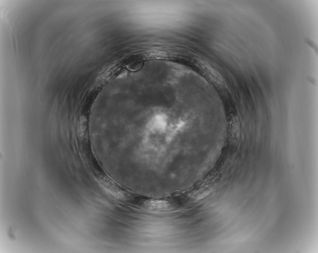 X0000096490361200802071948