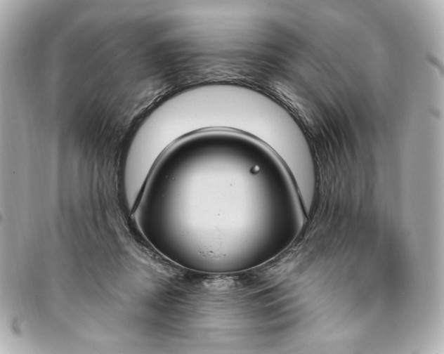 X0000096490362200802071948