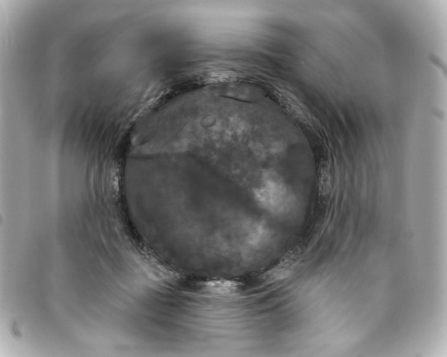 X0000096490363200802071948