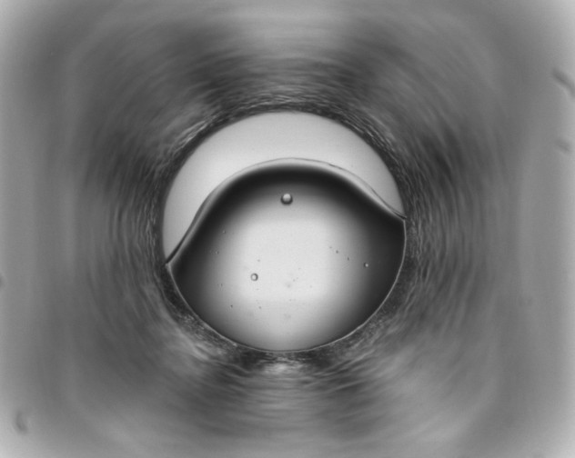 X0000096490364200802071948