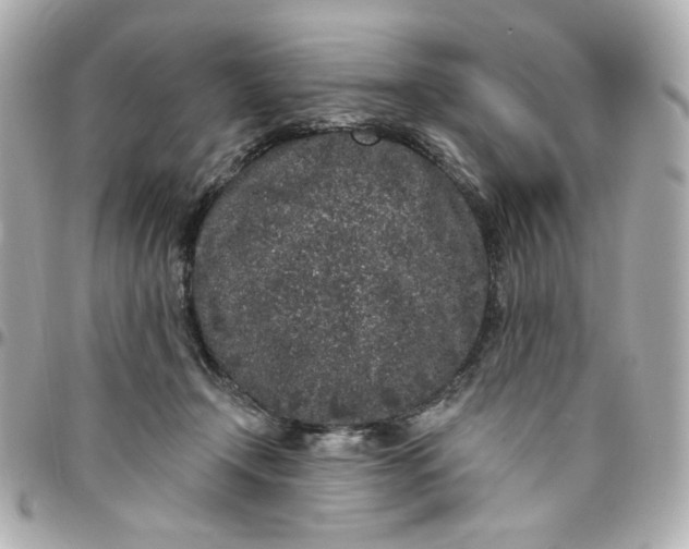 X0000096490366200802071948