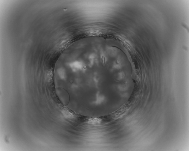 X0000096490369200802071948