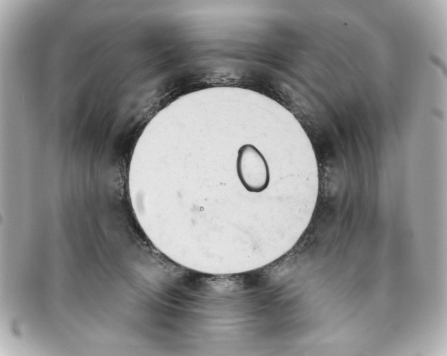 X0000096490370200802071948