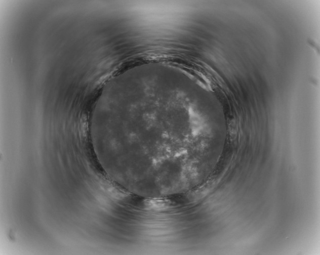 X0000096490372200802071948