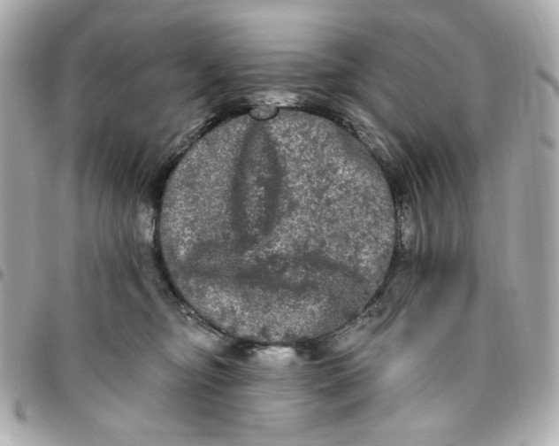 X0000096490374200802071948