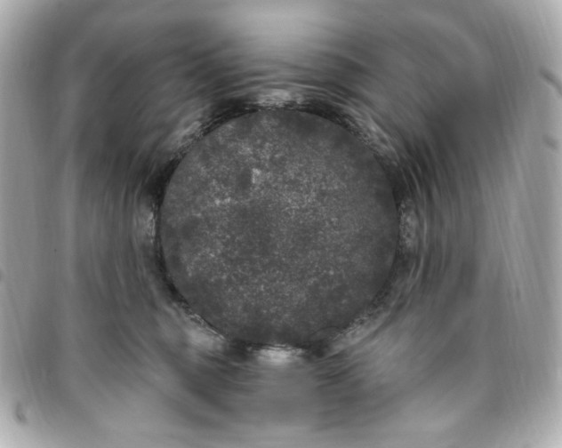 X0000096490375200802071948