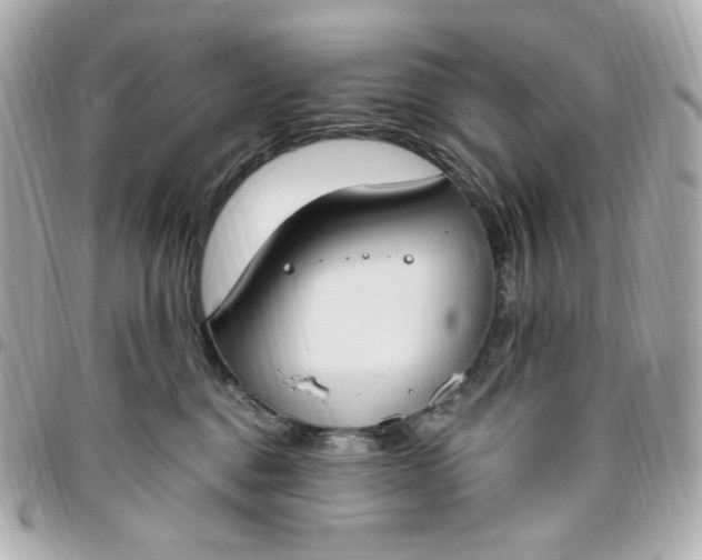 X0000096490376200802071948