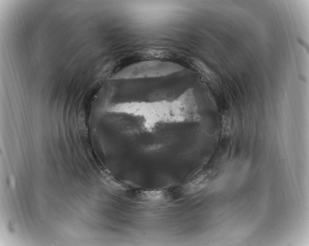 X0000096490377200802071948