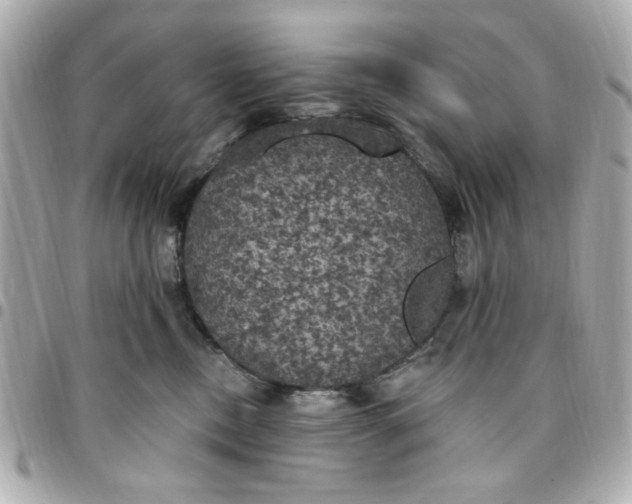 X0000096490378200802071948