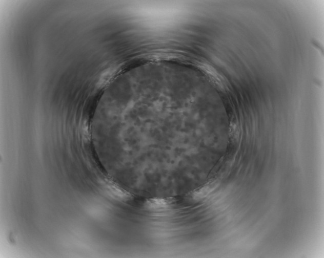 X0000096490381200802071948