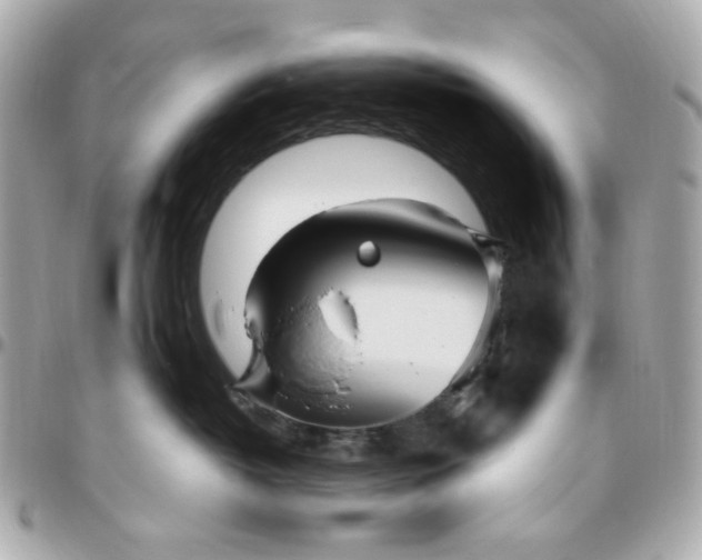 X0000096490382200802071948