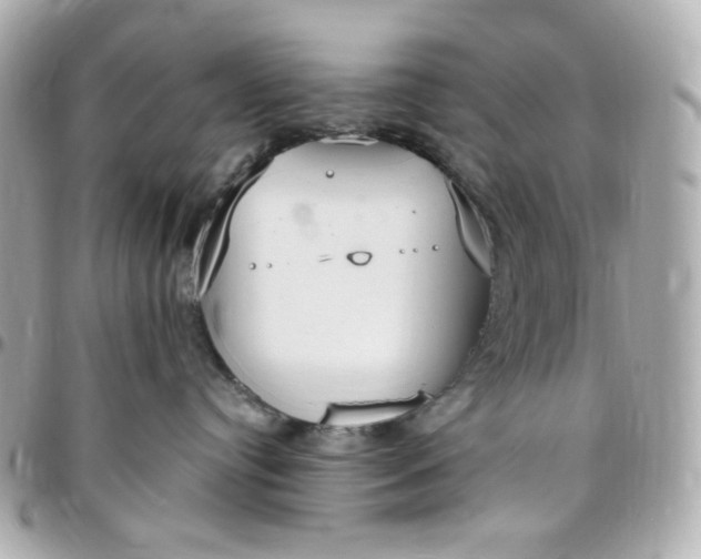 X0000096490384200802071948