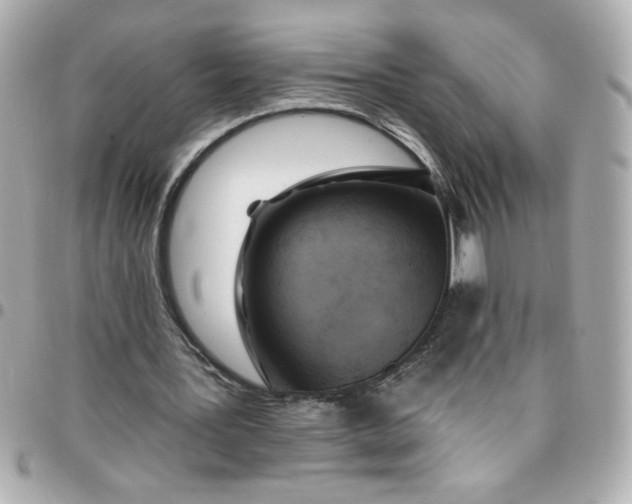 X0000096490387200802071947