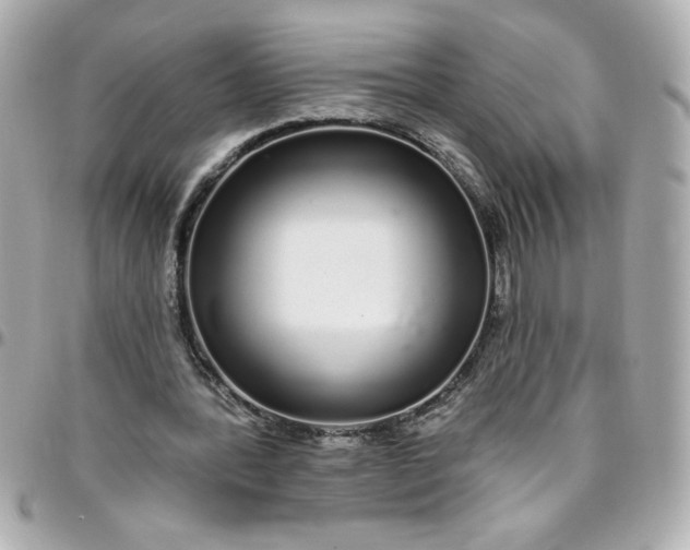 X0000096490388200802071947