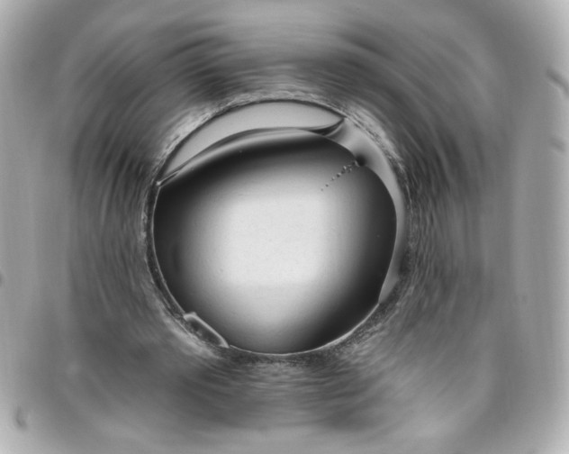 X0000096490389200802071947