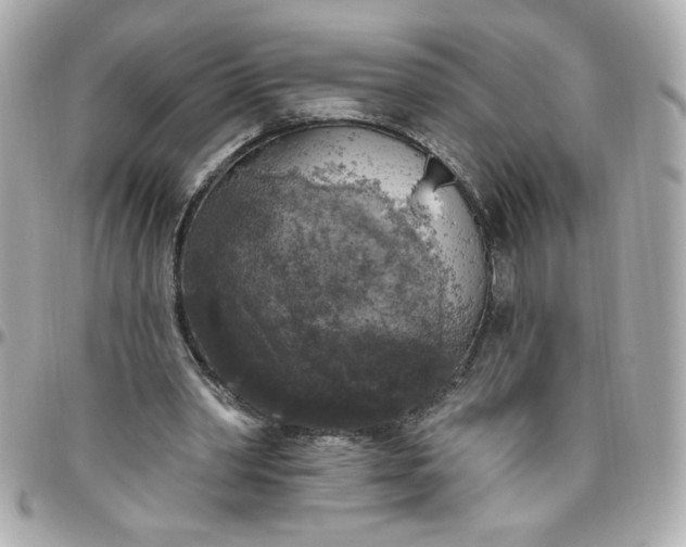 X0000096490390200802071947