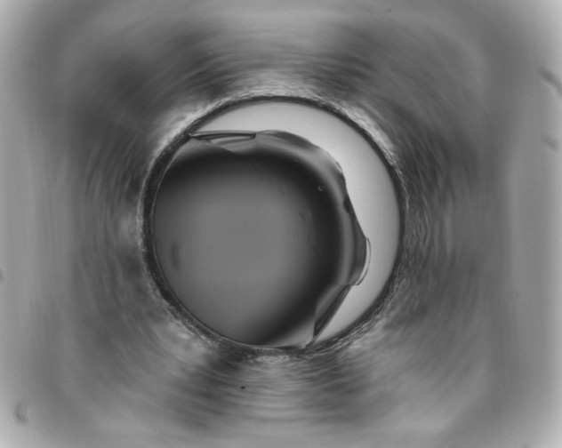 X0000096490391200802071947