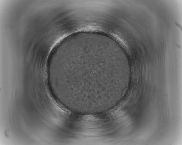 X0000096490392200802071947