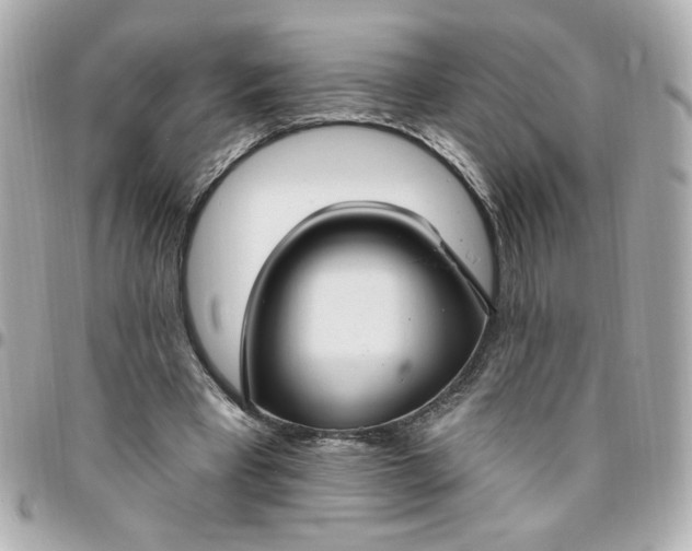 X0000096490393200802071947