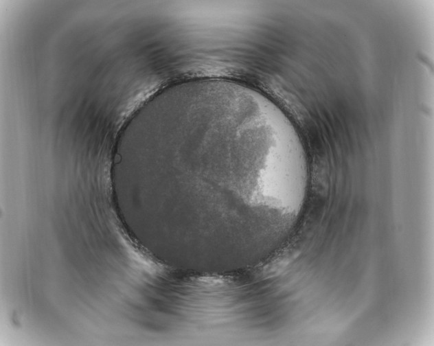 X0000096490394200802071947