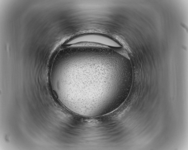 X0000096490395200802071947