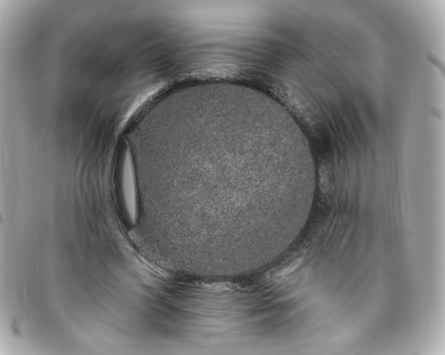 X0000096490396200802071947