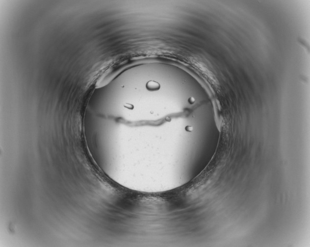 X0000096490397200802071947