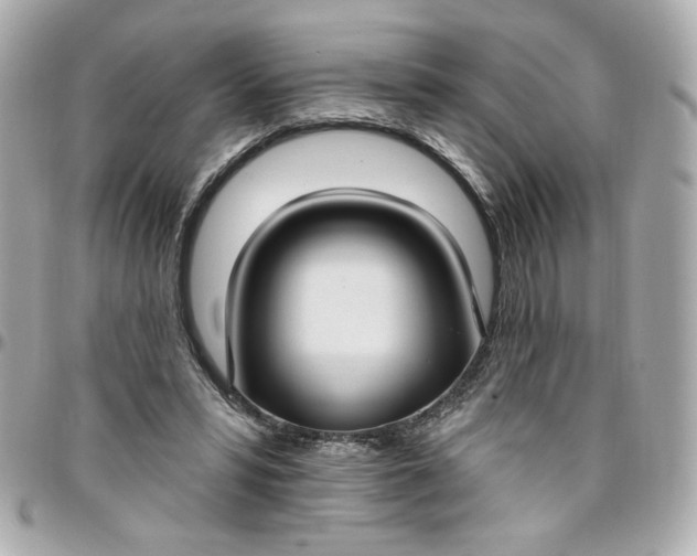 X0000096490399200802071947