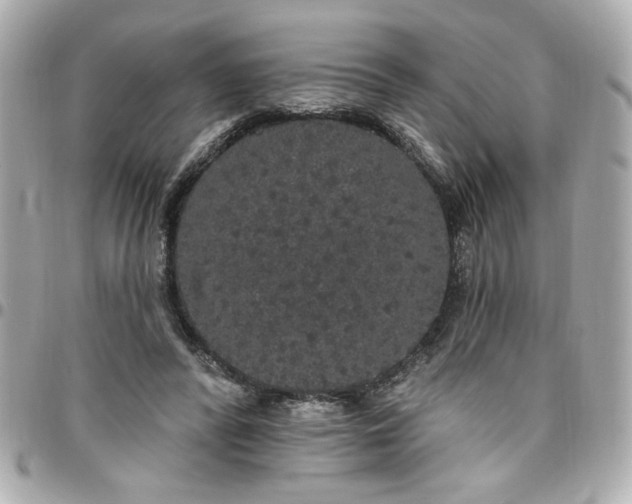 X0000096490400200802071947