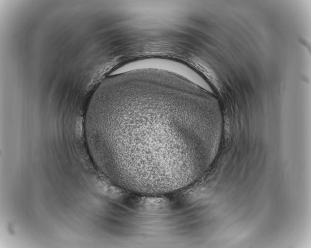 X0000096490401200802071947