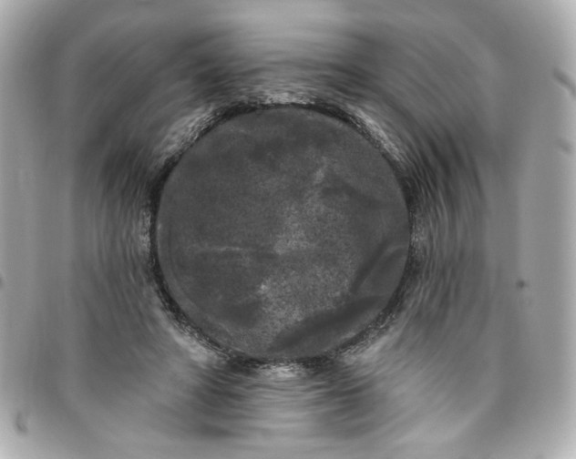 X0000096490402200802071947