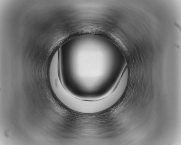 X0000096490403200802071947