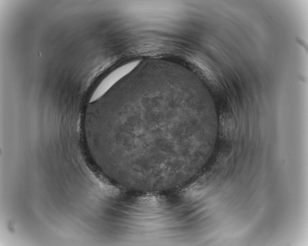 X0000096490404200802071947