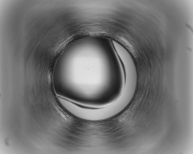 X0000096490405200802071947