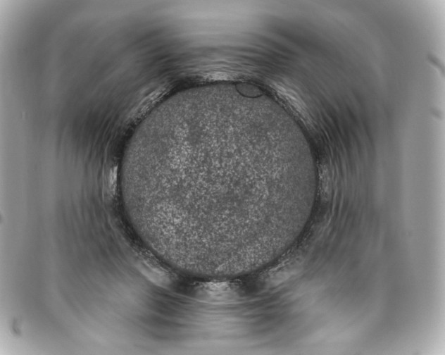 X0000096490406200802071947