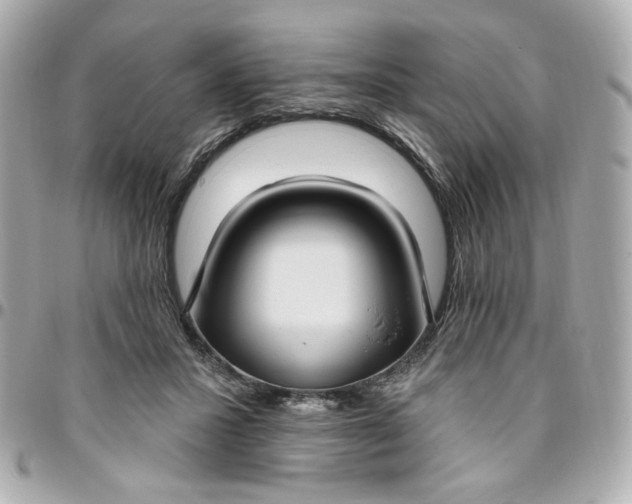 X0000096490407200802071947