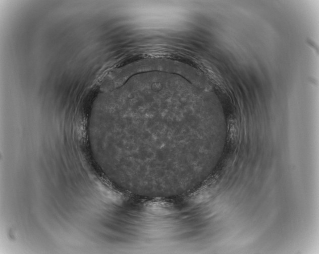 X0000096490408200802071947