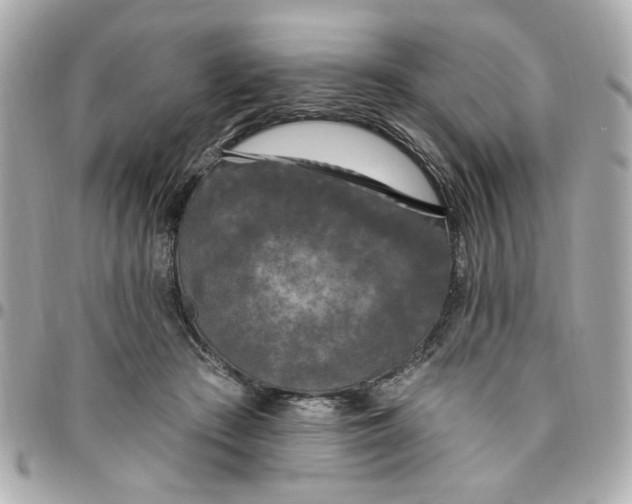 X0000096490409200802071947