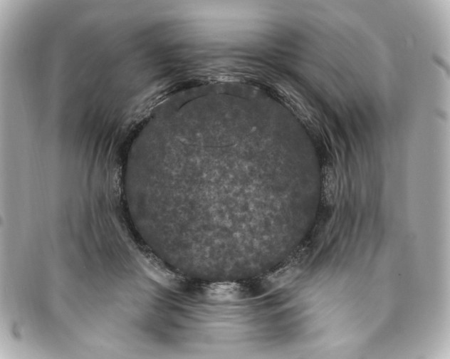 X0000096490410200802071947