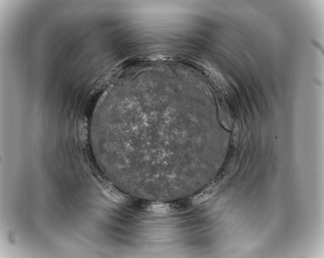 X0000096490413200802071947