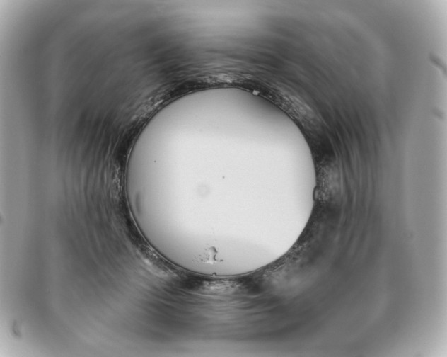 X0000096490414200802071947