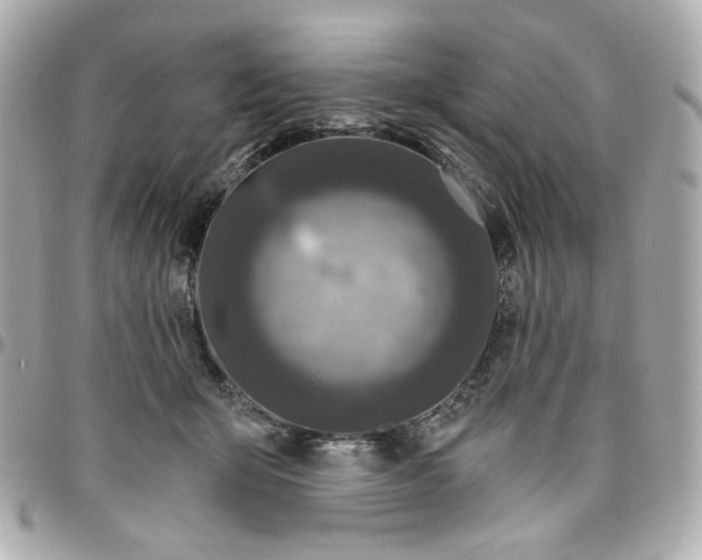 X0000096490415200802071947