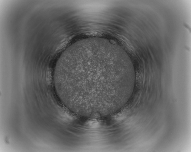 X0000096490416200802071947