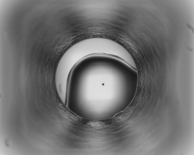 X0000096490417200802071947